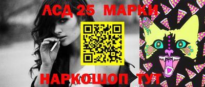 МДПВ Кингисепп
