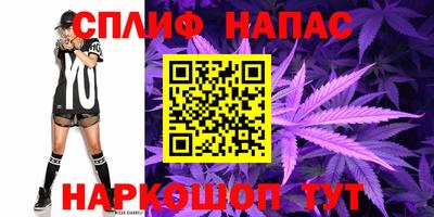 МДПВ Кингисепп