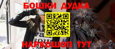 крисы Кинель