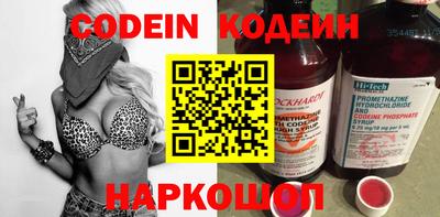 МДПВ Кингисепп