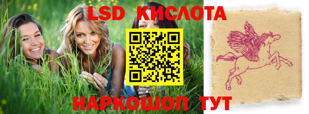 LSD-25 экстази ecstasy Лесной