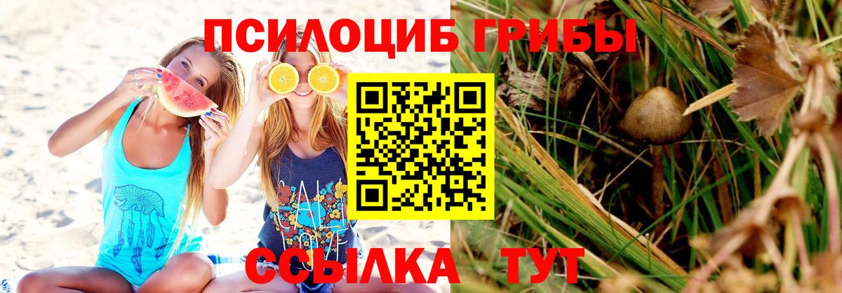 Лесной  Галлюциногенные грибы GOLDEN TEACHER  Вход с VPN 