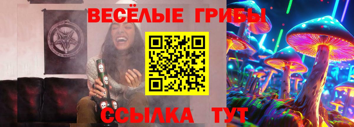 Галлюциногенные грибы мицелий Лесной